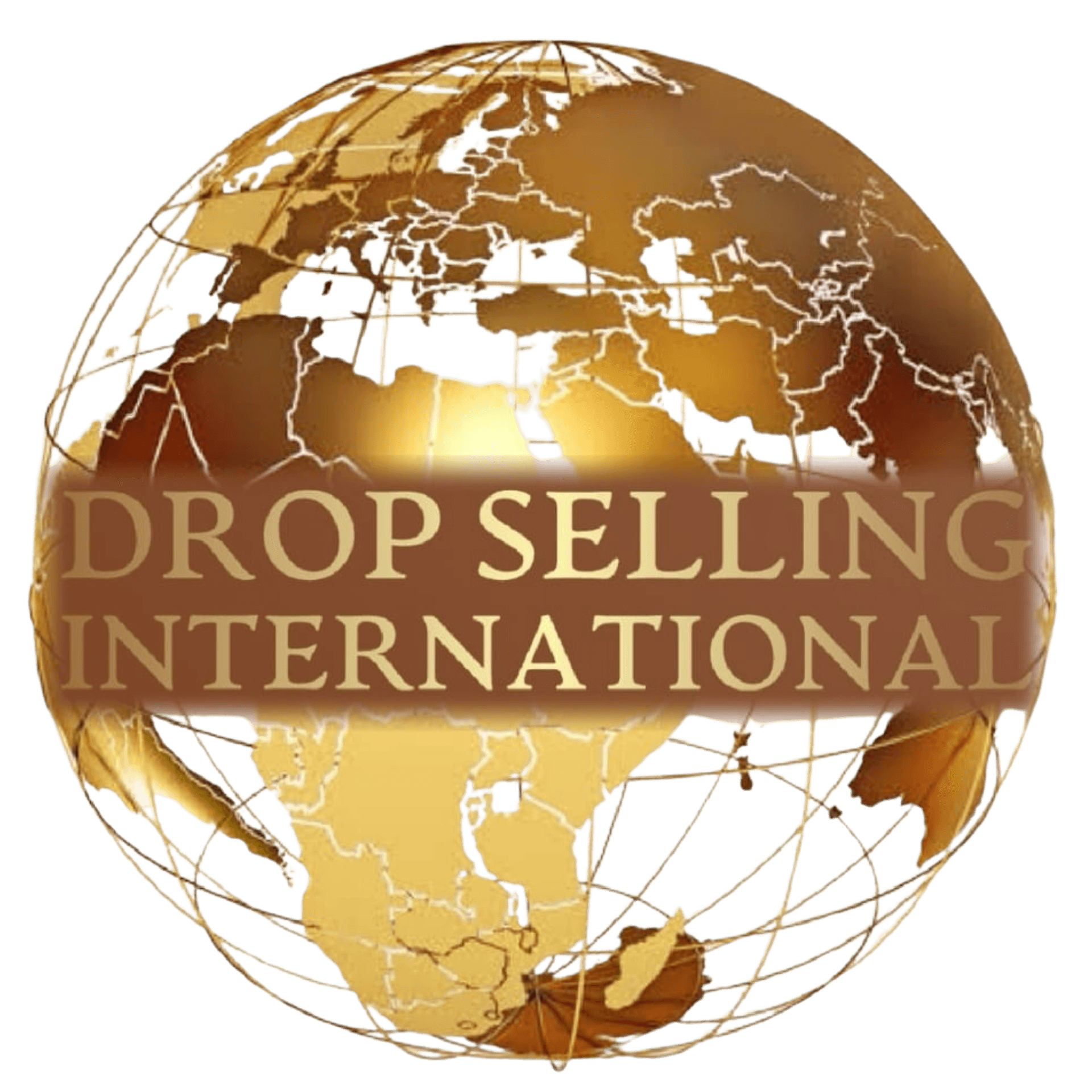 Drop Selling International Logo